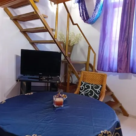 стела דירה
