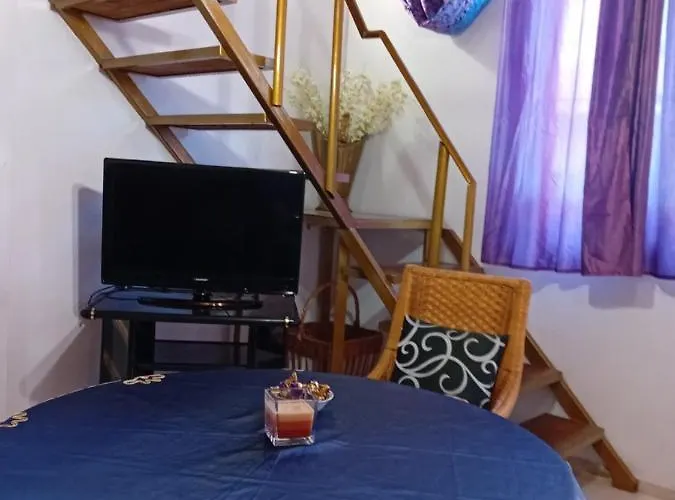 стела Apartamento